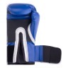 Перчатки боксерские Pro Style Anti-MB 2216U, 16oz, к/з, синие (122402)