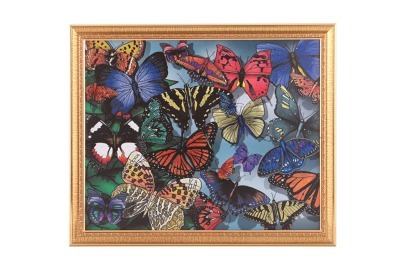 Картина яркие бабочки, стразы,55х45см (562-032-28) 