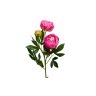 Пион розовый 64 см (24) - 00002890