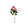 Пион розовый 64 см (24) - 00002890