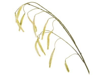 Цветок искусственный "трава луговая" длина=125 см. Silk-Ka B.v. (654-228) 