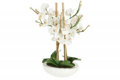 Декоративные цветы Орхидея белая на керамической подставке - DG-13062-AL Dream Garden