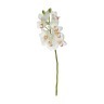 Орхидея белая, 101см (12) - 00002221