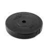 Диск пластиковый BB-203, d=26 мм, черный, 5 кг (78533)