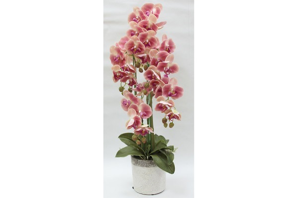 Декор.цветы Орхидеи тём.розовые в керам.вазе - DG-F6835DP Dream Garden