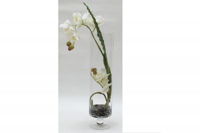 Декор.цветы Орхидея белая в стекл.вазе - DG-F6851 Dream Garden