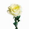 Роза белая 71 см (24) - TT-00001005