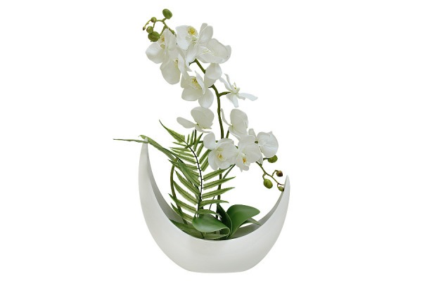 Декоративные цветы Орхидея белая в керам.вазе - DG-JA6041 Dream Garden