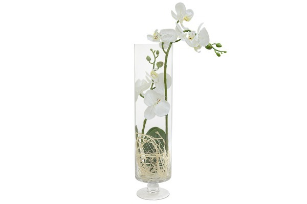 Декоративные цветы Орхидея белая в стекл вазе - DG-JA6042 Dream Garden