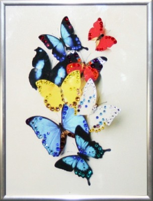 Бабочки (1571)