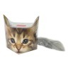 Кружка Котёнок в подарочной упаковке + брелок-хвостик - CAR2-017-0015 Carmani