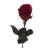 Роза бордовая 48 см (36) - 00002429