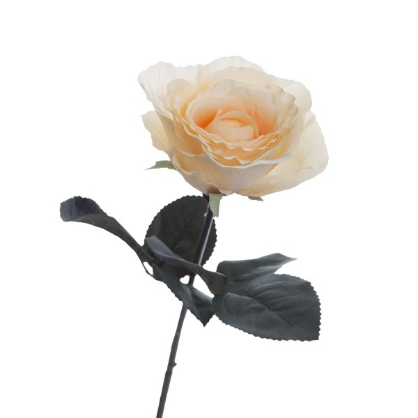 Роза кремовая 48 см (36) - 00002431