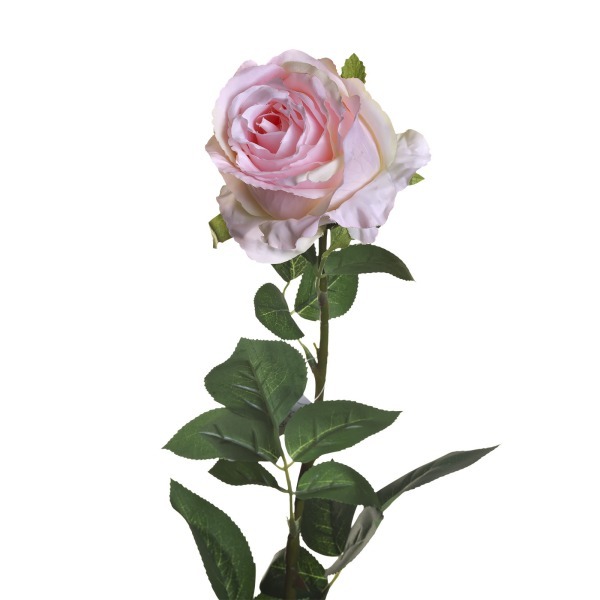 Роза нежно-розовая 80 см (12) - 00002399