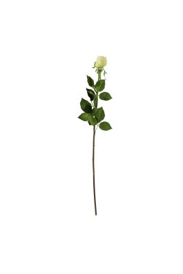 Роза кремовая 38 см (24) - 00001261