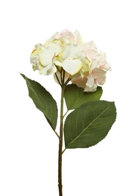 Гортензия светло-розовая, 62см (TT-00000293)