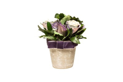 Цветочная композиция с розами в горшке 17х21 (TT-00000781)