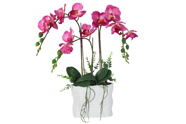 Декоративные цветы Орхидея тем розовая в керамической вазе - DG-15018-N-AL Dream Garden