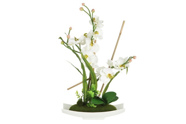 Декоративные цветы Орхидея белая на керамической подставке - DG-15025-AL Dream Garden
