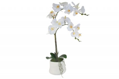 Декоративные цветы Орхидея белая в керамической вазе - DG-15044N-AL Dream Garden