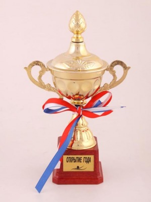 Кубок "открытие года " высота=25 см. (197-506-8) 