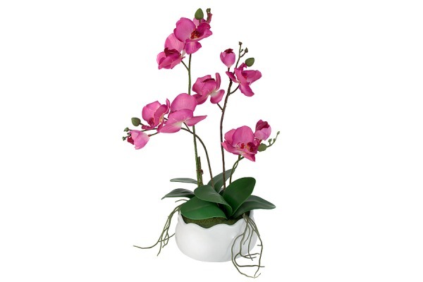 Декор.цветы Орхидея бордо в керамической вазе - DG-16014N-FU-AL Dream Garden