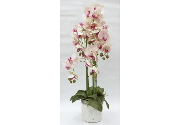 Декор.цветы Орхидеи св.розовые в керам.вазе - DG-F6835LP Dream Garden
