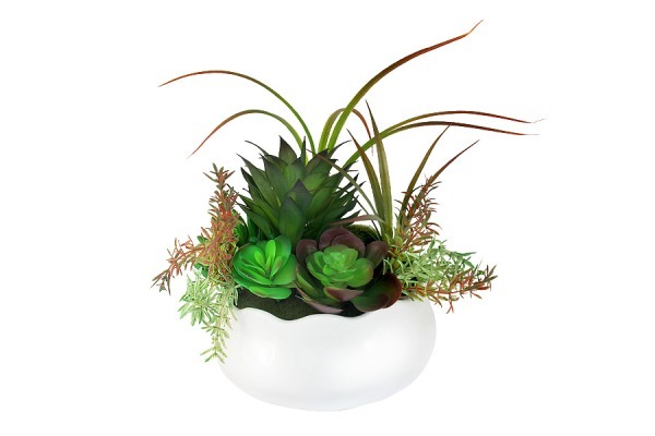 Декоративные цветы Суккуленты в керамической вазе - DG-S16006N-AL Dream Garden