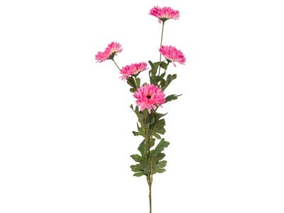 Ветка астр розовая 5 цветков высота=70 см. Huajing Plastic (864-001) 