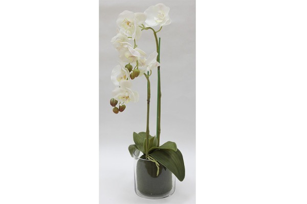 Декор.цветы Орхидея белая в стекл.вазе - DG-F6836W Dream Garden