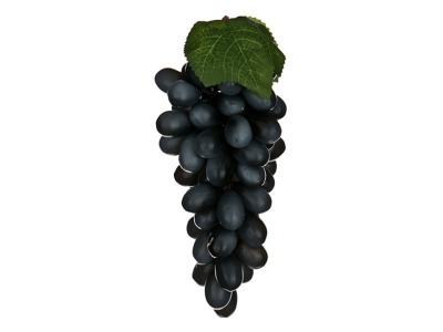 Муляж "виноград" 10*5*20 см. без упаковки Polite Crafts&gifts (D-578-119) 