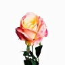 Роза нежно-розовая 71 см (24) - TT-00001006