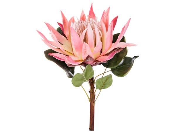 Цветок искусственный "протея розовая" длина=60 см. Silk-Ka B.v. (654-220) 