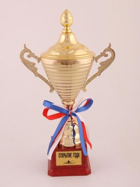 Кубок "открытие года " высота=30 см. (197-509-8) 