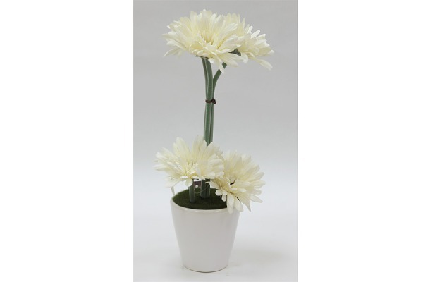 Декор.цветы Герберы белые в керам.вазе - DG-F6744 Dream Garden