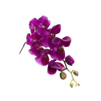 Орхидея фиолетовая 105 см (8) - 00001235