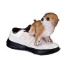 Кашпо "щенок с кроссовкой"  30,5*12,5*21 см Hong Kong (155-061) 